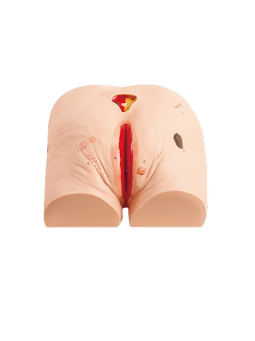 DECUBITUS ULCER CARE SIMULATOR 